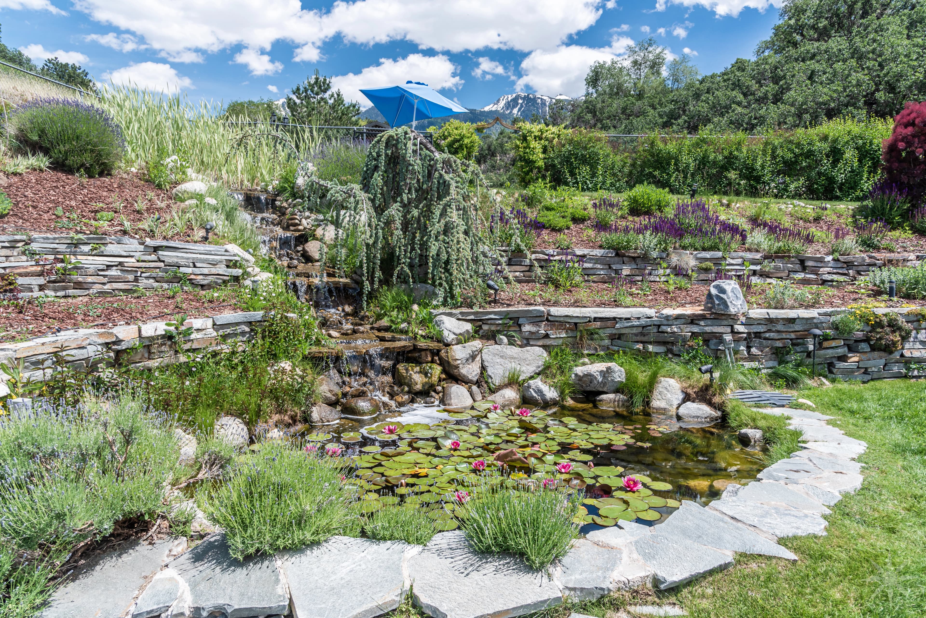 Garden pond at hidden Retreat in Sandy Utah